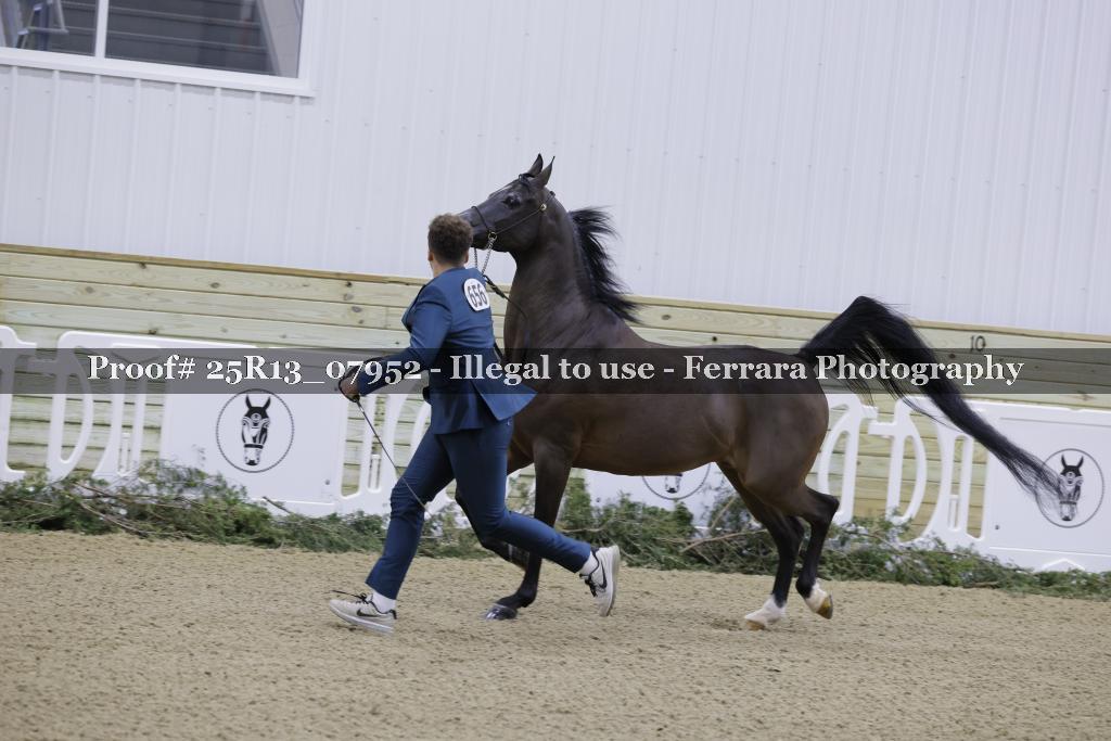 Proof Number 25R13_07952
