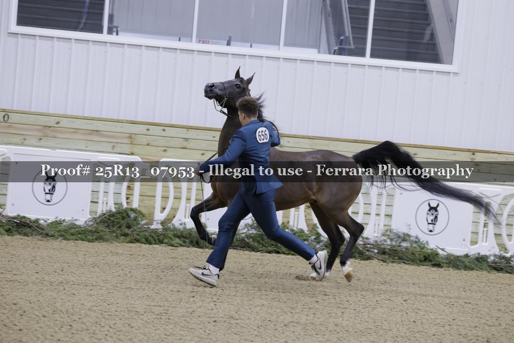 Proof Number 25R13_07953