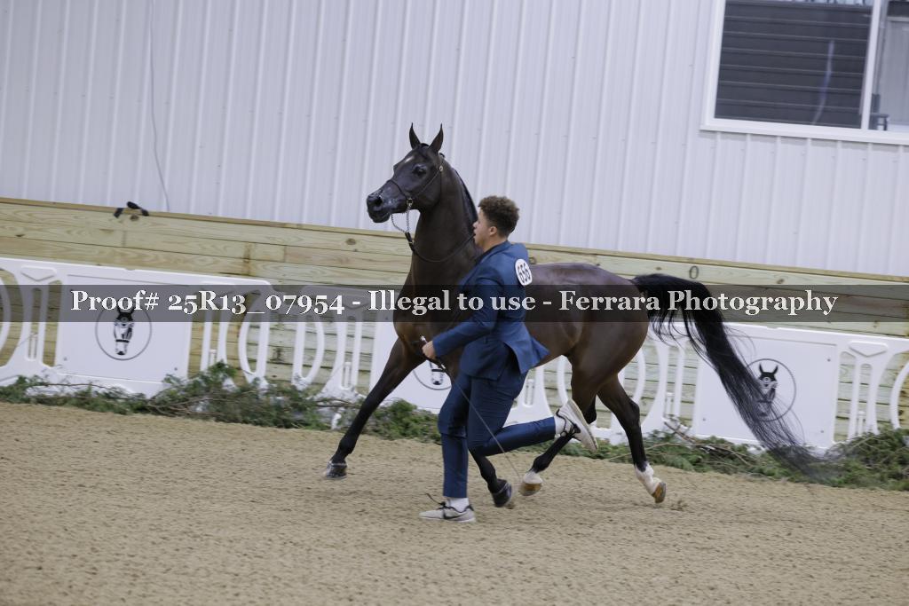 Proof Number 25R13_07954