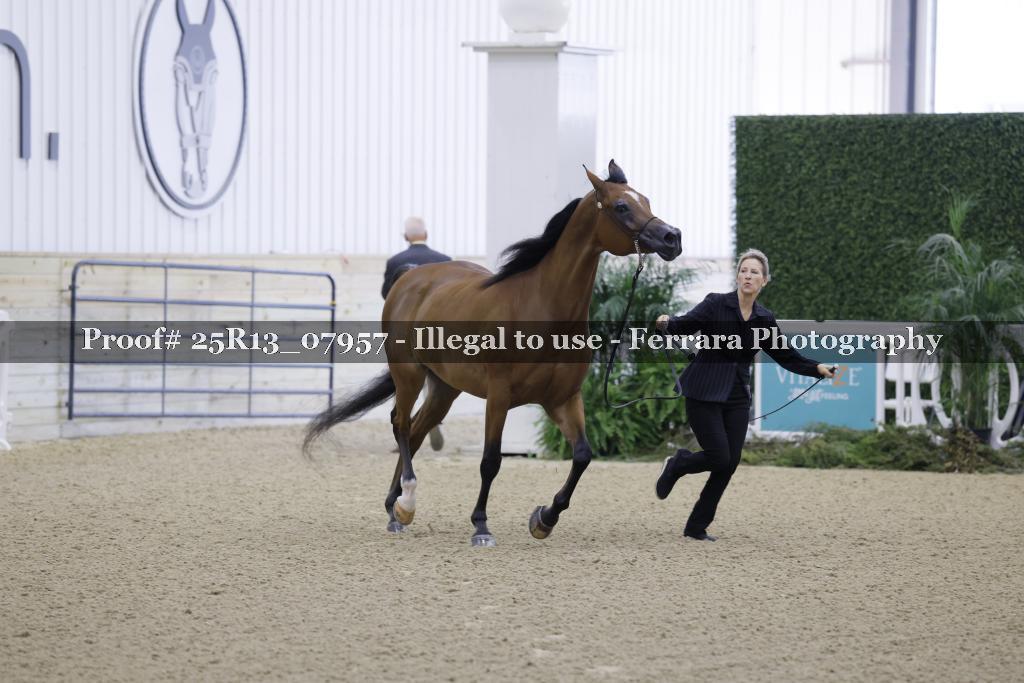 Proof Number 25R13_07957