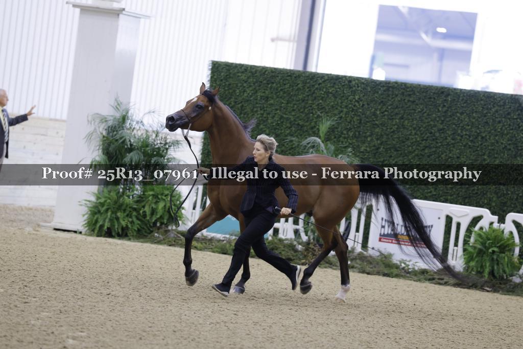 Proof Number 25R13_07961