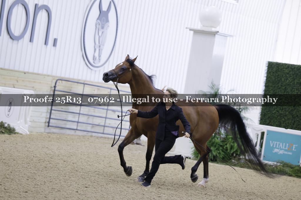 Proof Number 25R13_07962