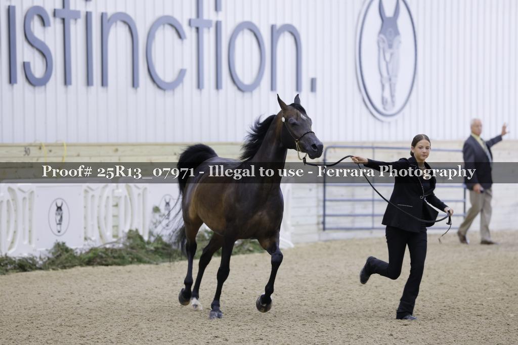 Proof Number 25R13_07971