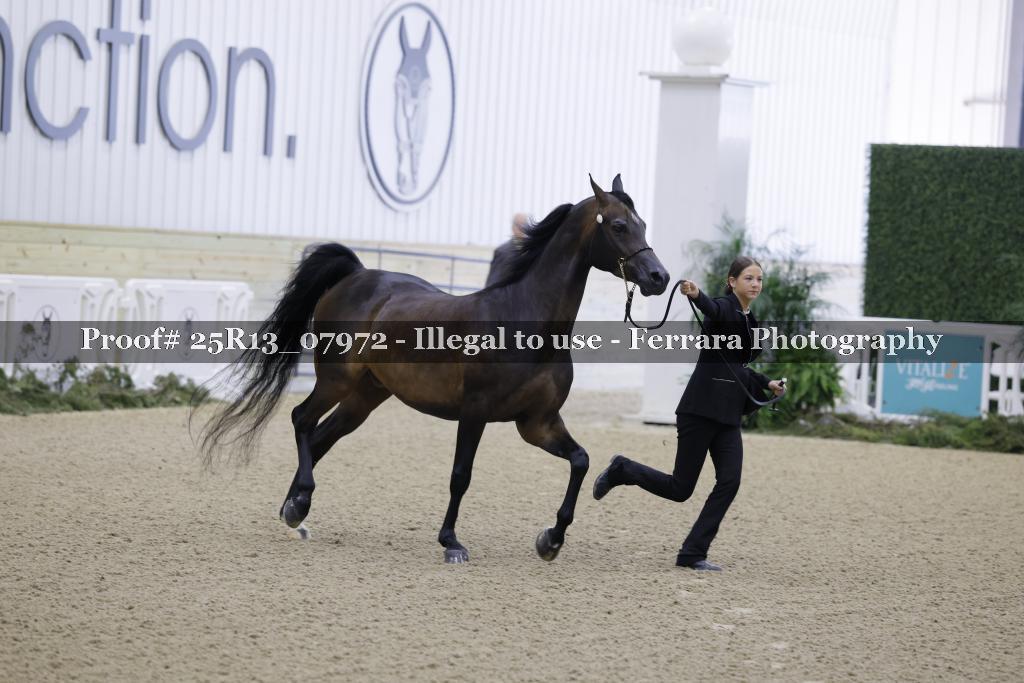 Proof Number 25R13_07972