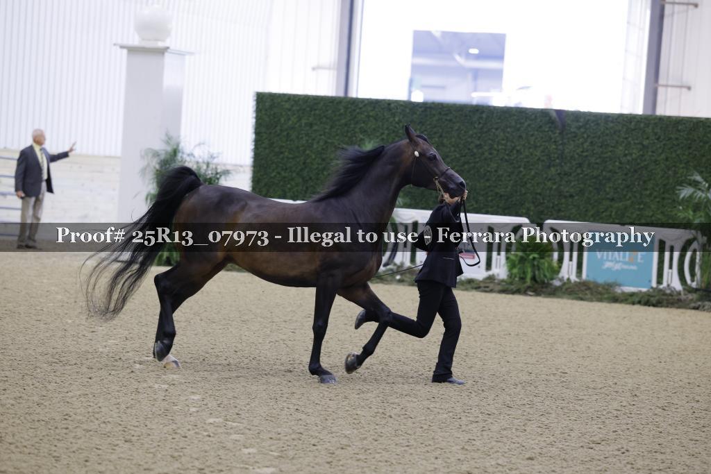 Proof Number 25R13_07973