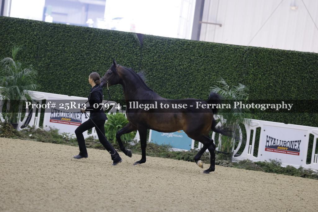 Proof Number 25R13_07974