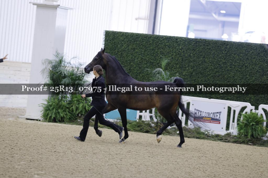 Proof Number 25R13_07975