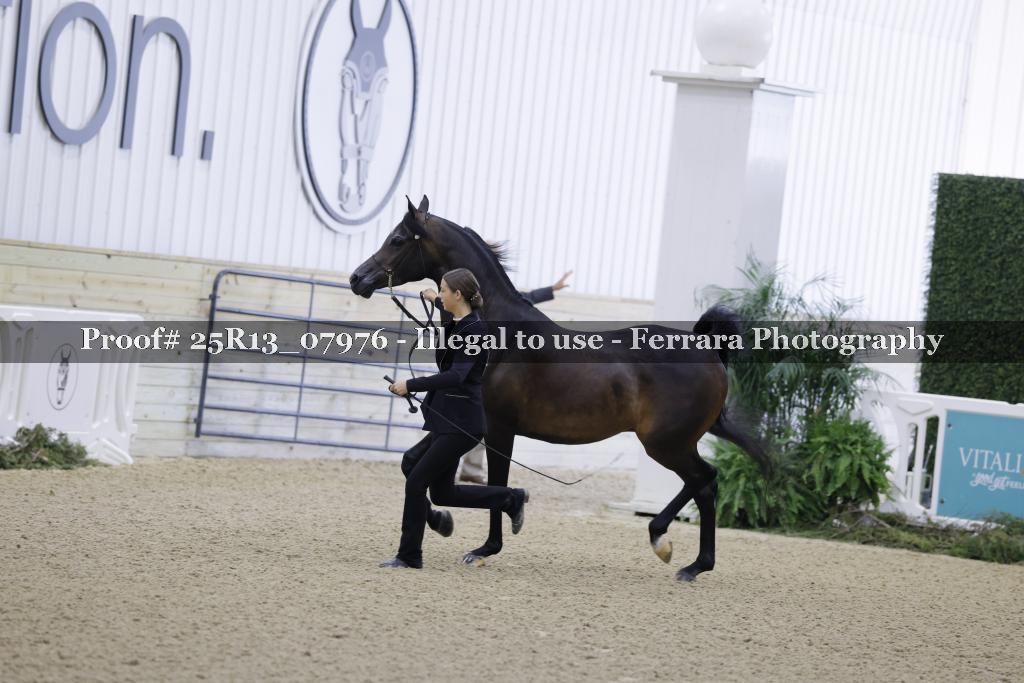 Proof Number 25R13_07976