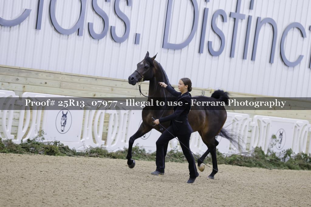Proof Number 25R13_07977