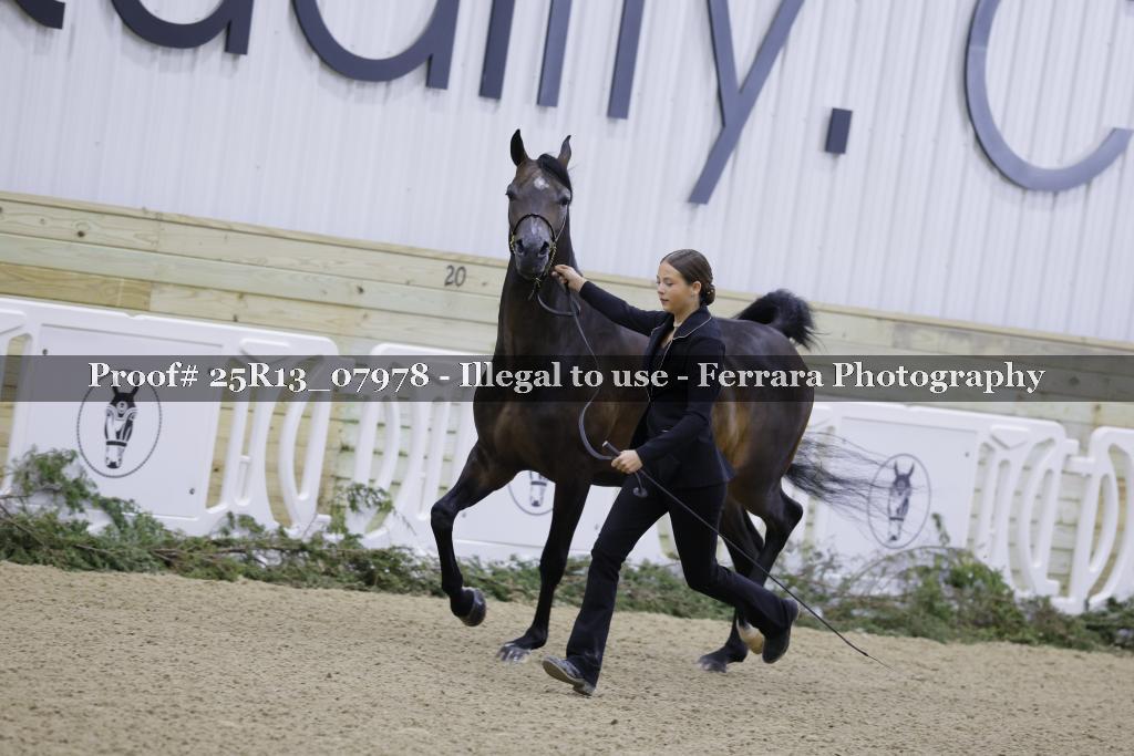 Proof Number 25R13_07978
