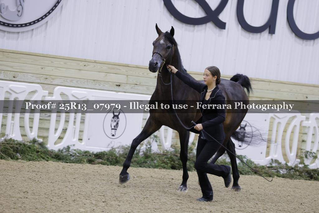 Proof Number 25R13_07979