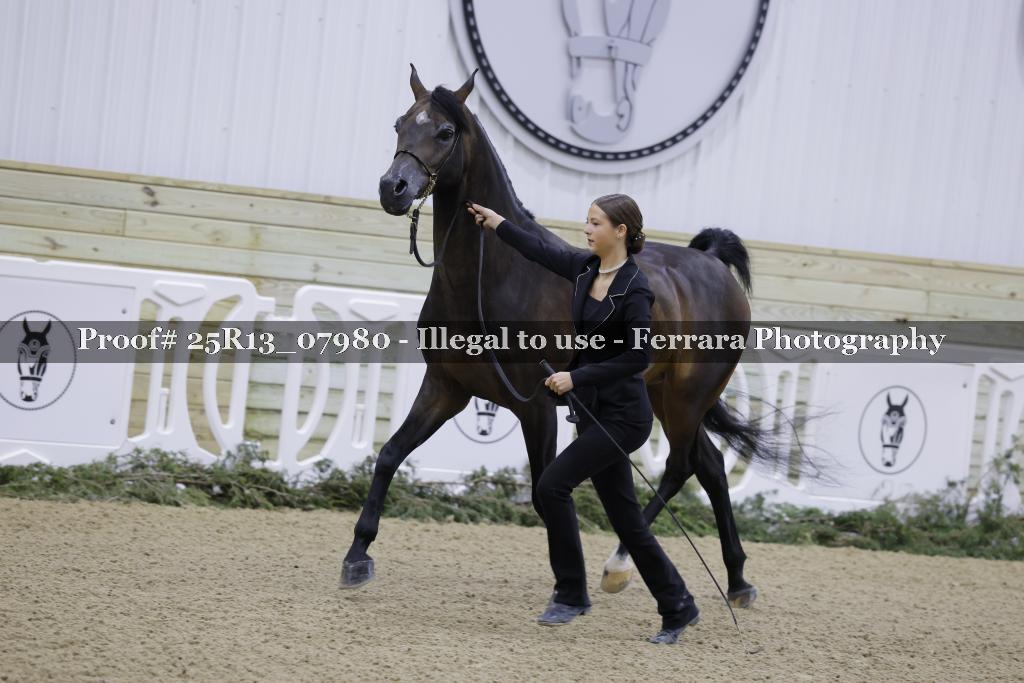 Proof Number 25R13_07980