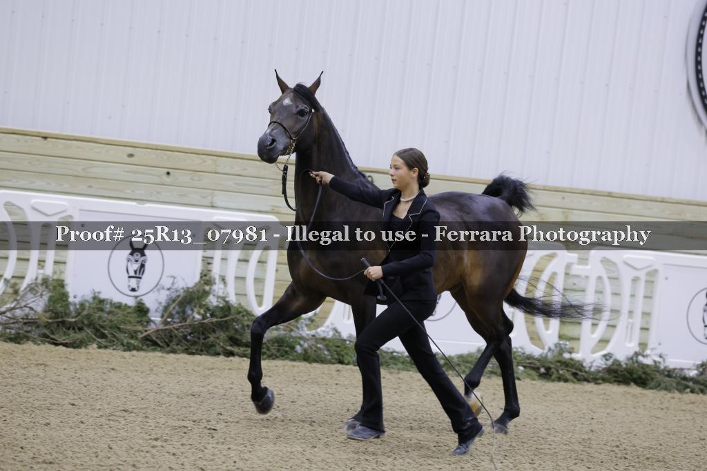 Proof Number 25R13_07981