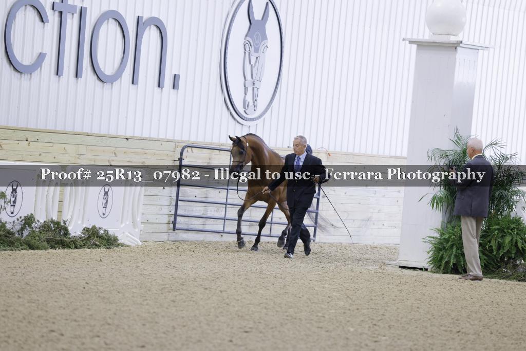 Proof Number 25R13_07982