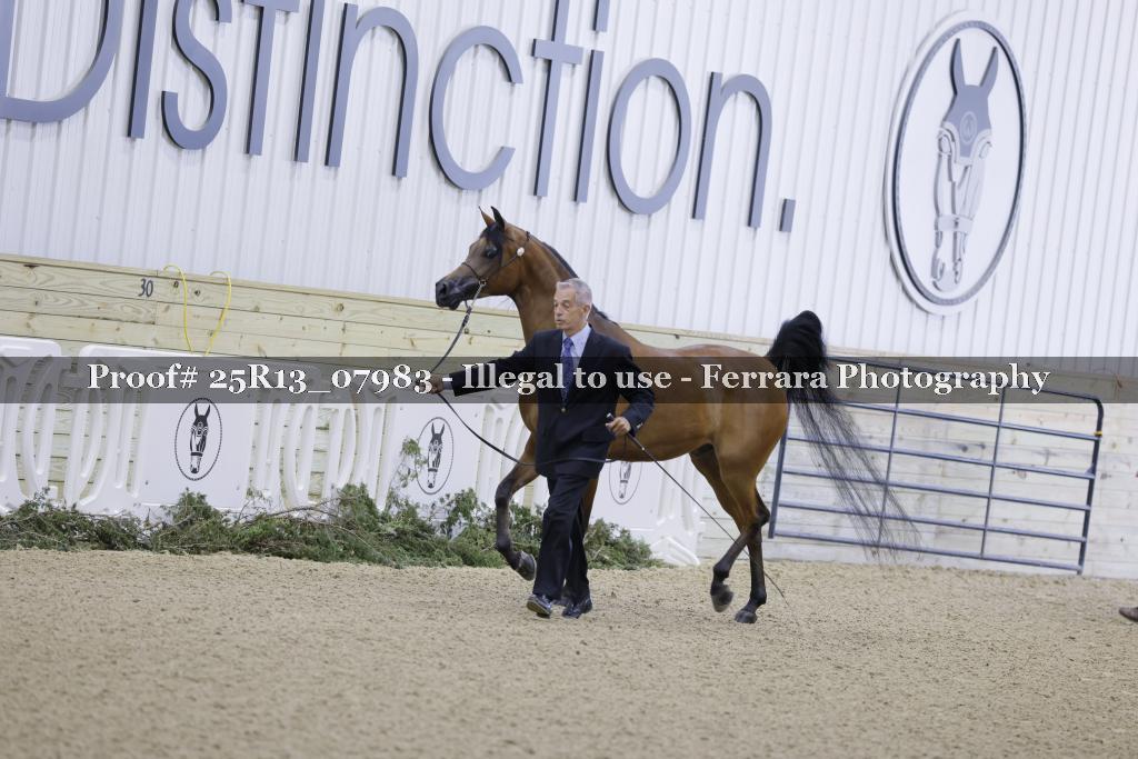 Proof Number 25R13_07983