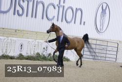 25R13_07983 thumbnail