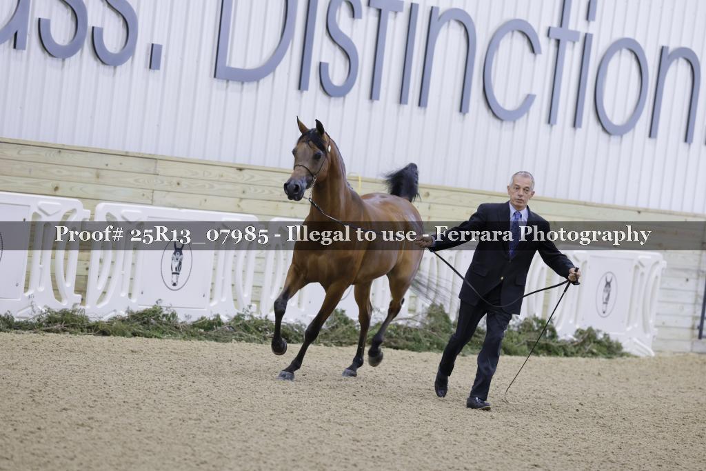 Proof Number 25R13_07985