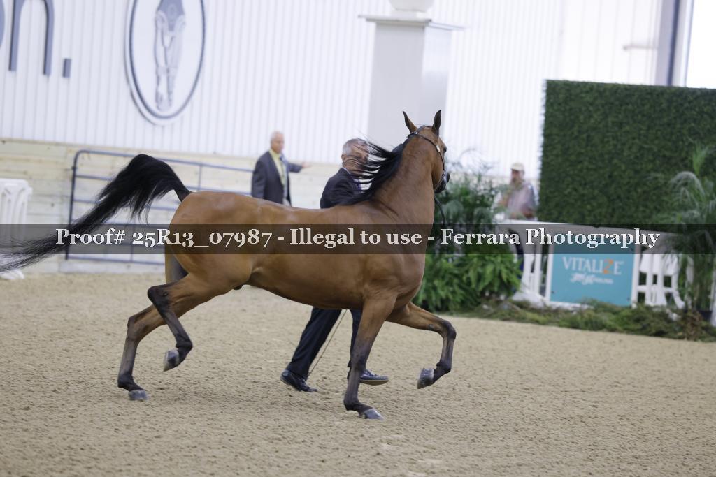 Proof Number 25R13_07987