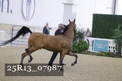 25R13_07987 thumbnail