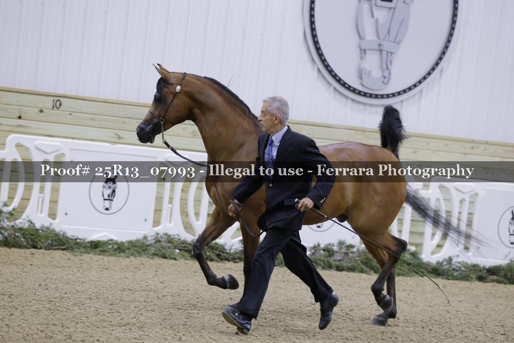 Proof Number 25R13_07993