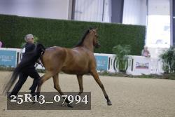 25R13_07994 thumbnail