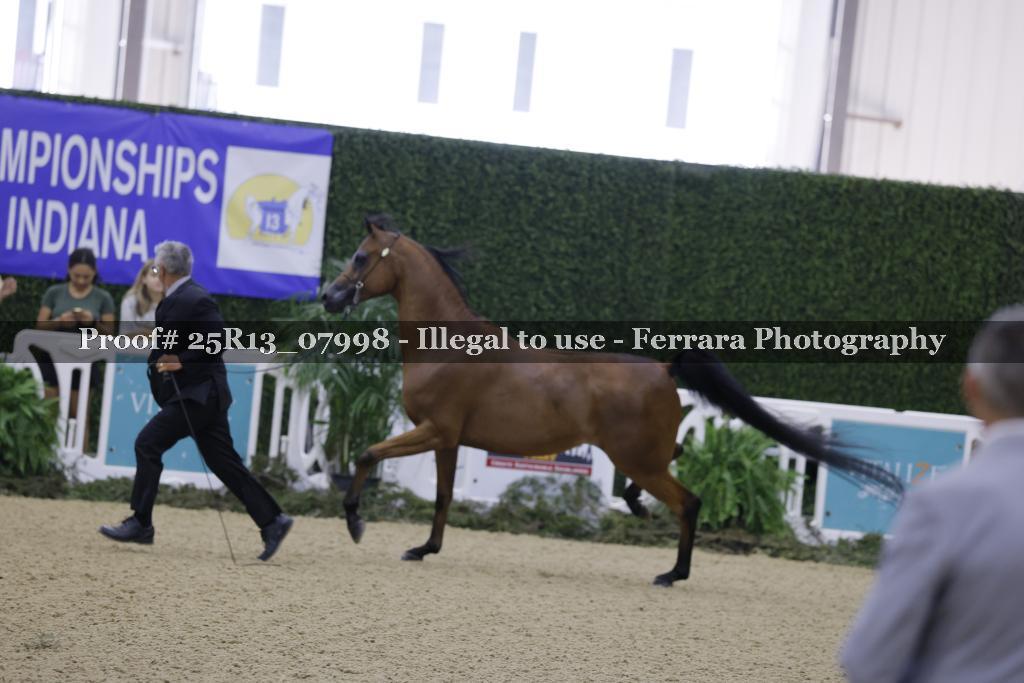 Proof Number 25R13_07998