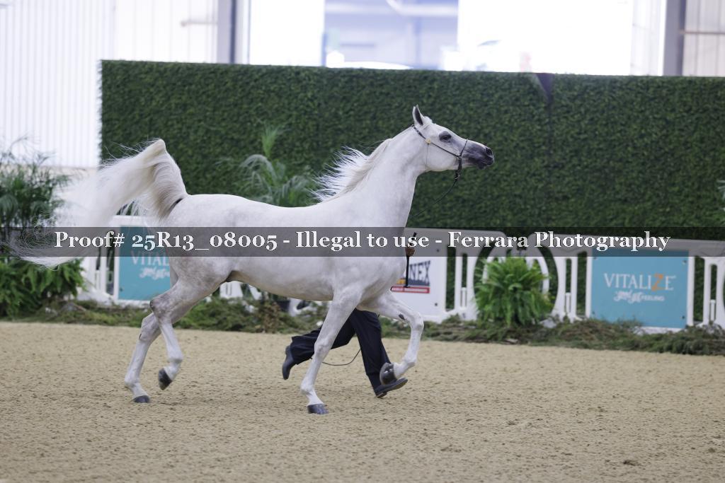Proof Number 25R13_08005