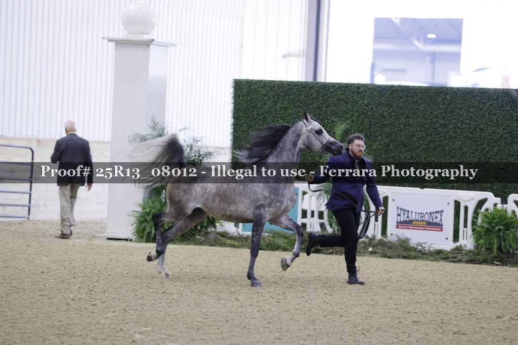 Proof Number 25R13_08012