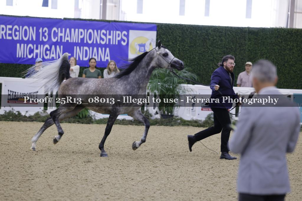 Proof Number 25R13_08013
