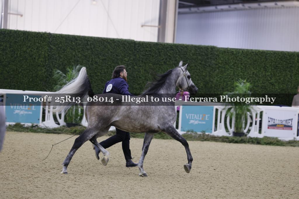 Proof Number 25R13_08014