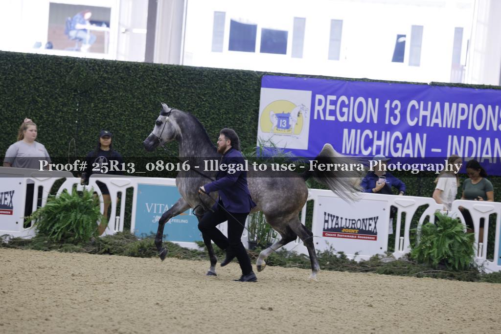 Proof Number 25R13_08016