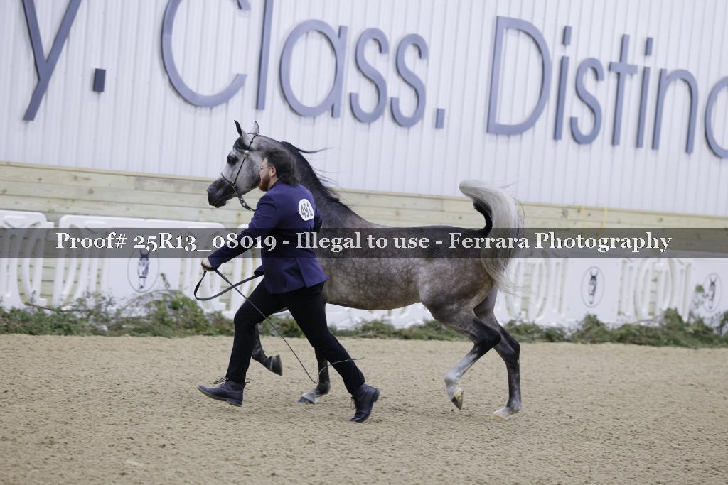 Proof Number 25R13_08019