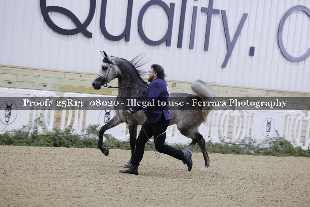 Proof Number 25R13_08020