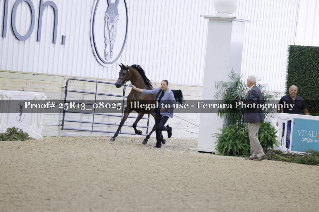 Proof Number 25R13_08025