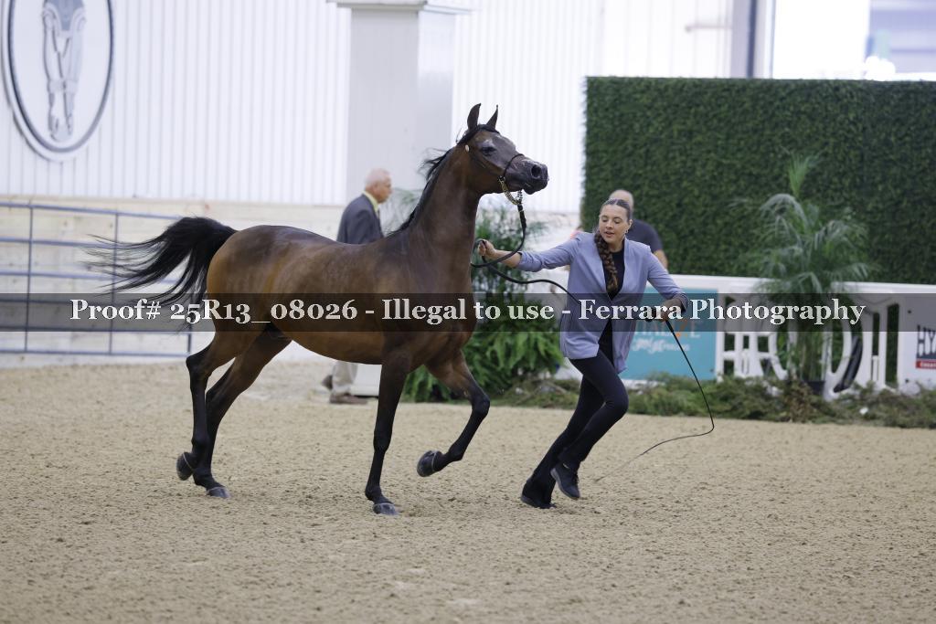 Proof Number 25R13_08026
