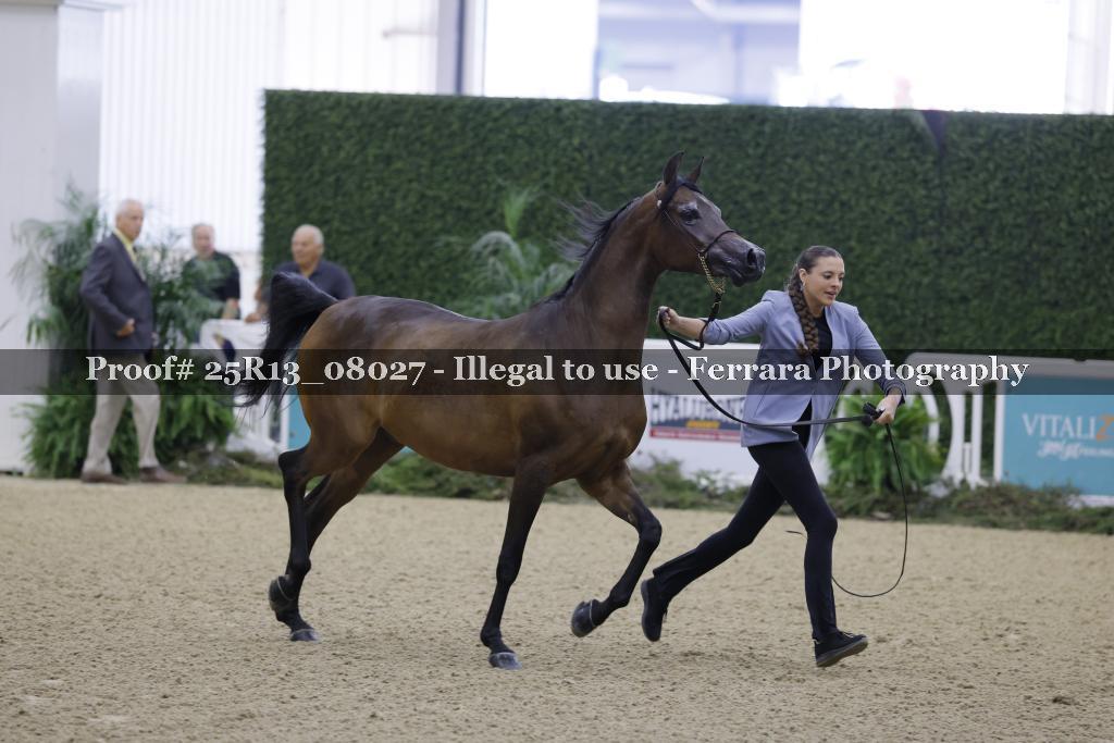 Proof Number 25R13_08027