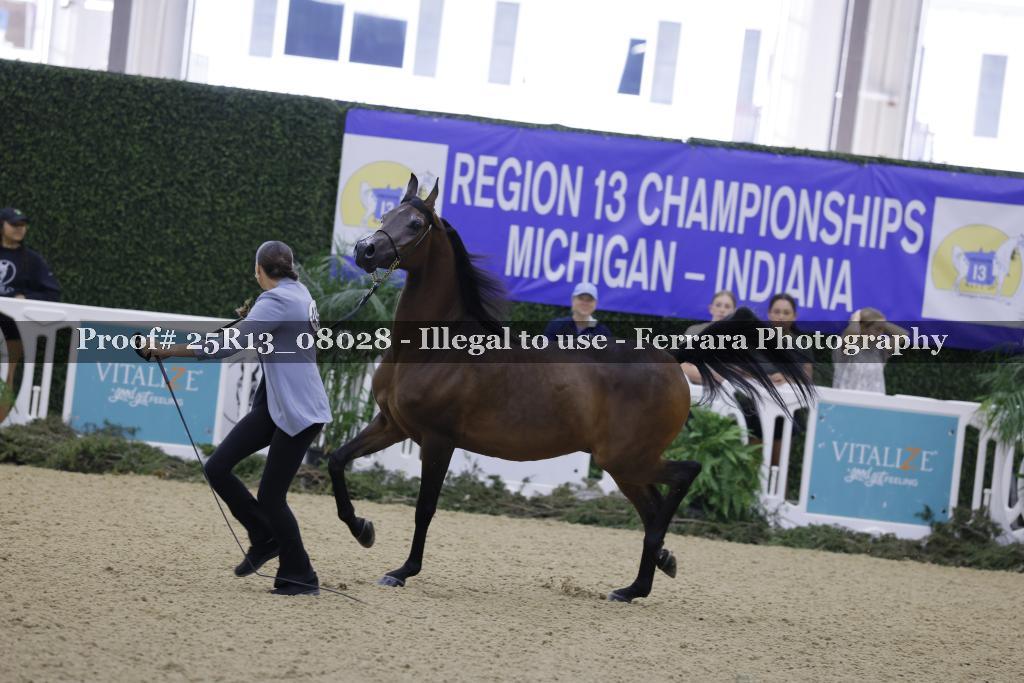 Proof Number 25R13_08028