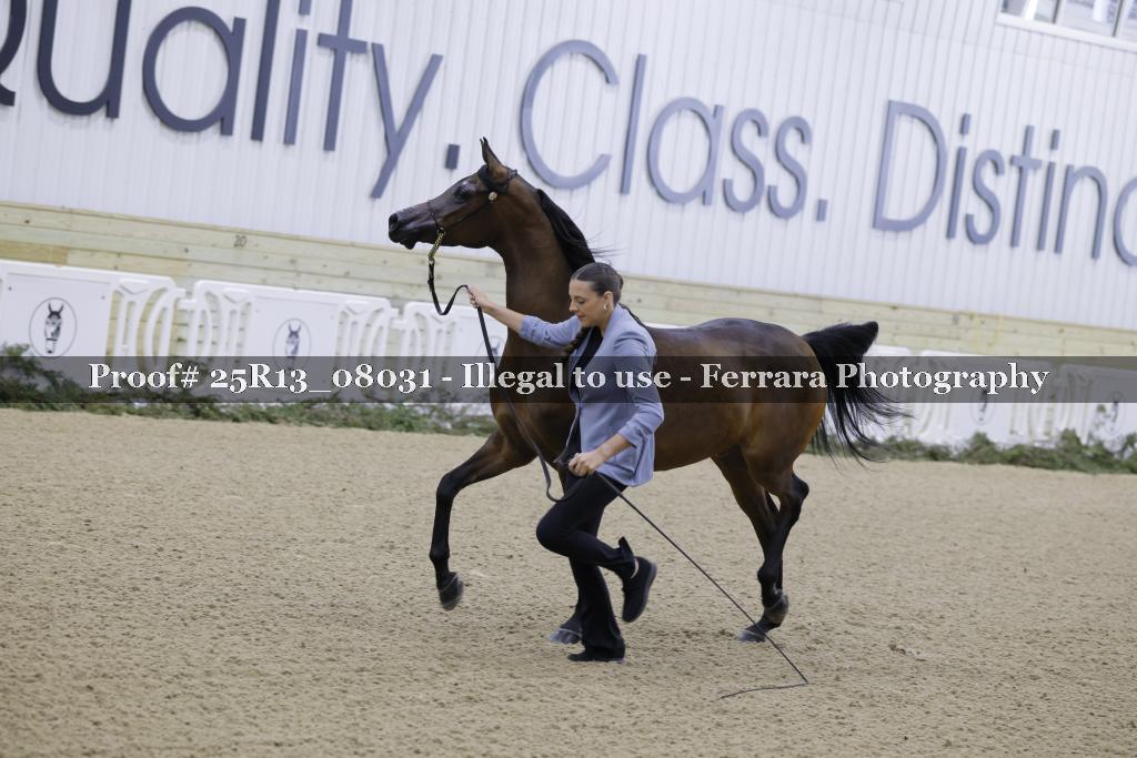 Proof Number 25R13_08031