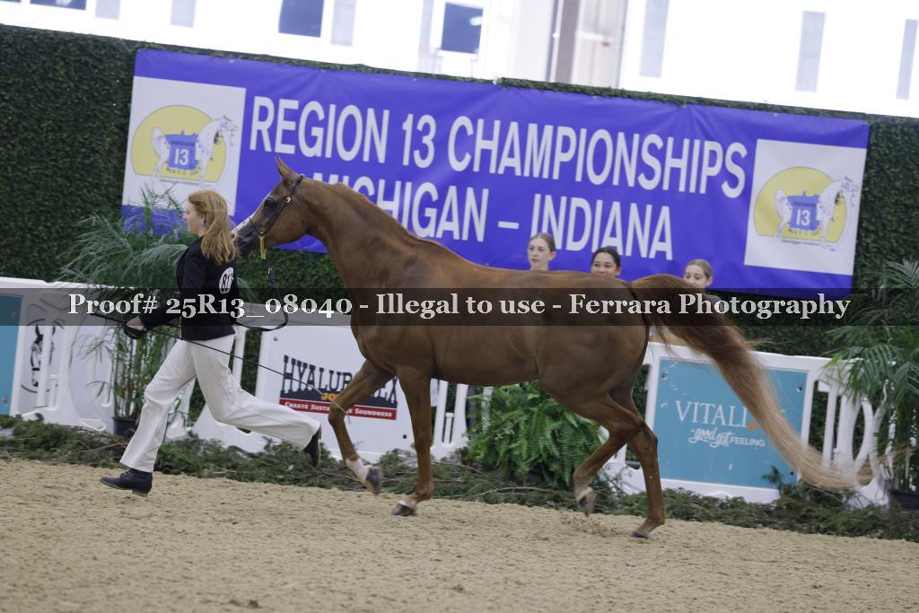 Proof Number 25R13_08040