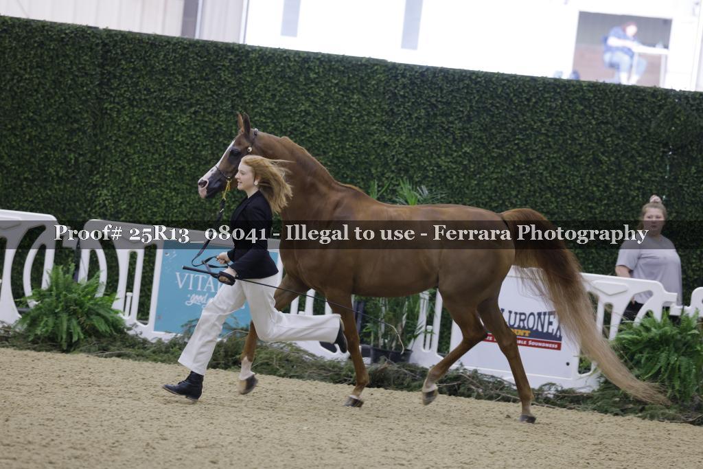 Proof Number 25R13_08041