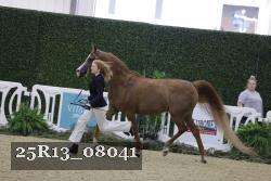 25R13_08041 thumbnail