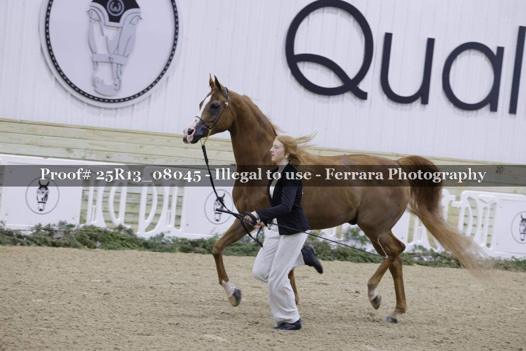 Proof Number 25R13_08045