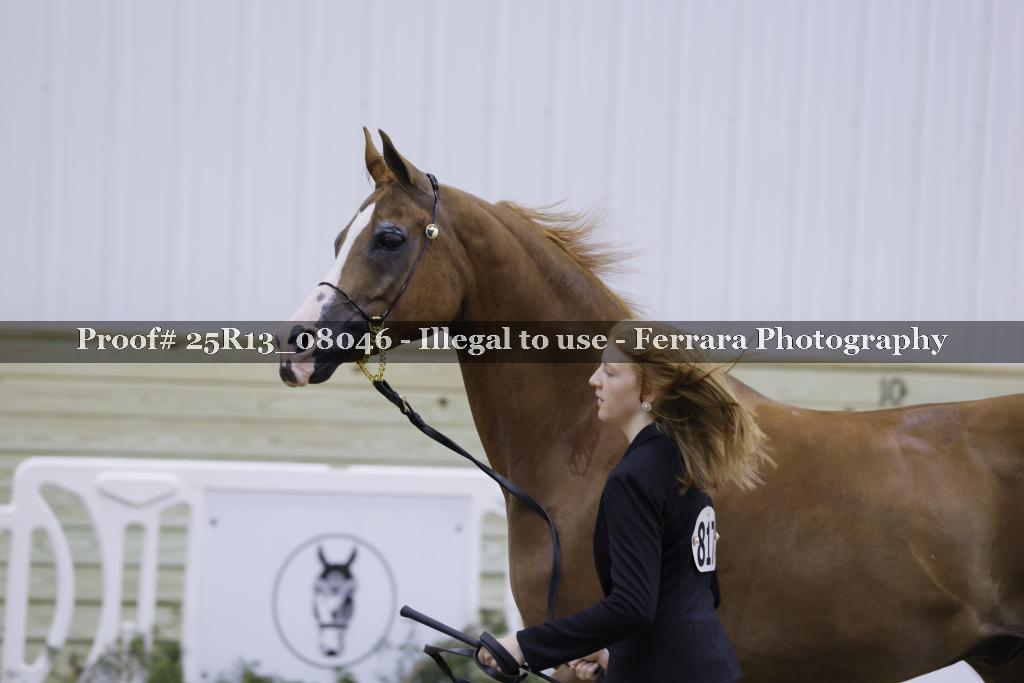 Proof Number 25R13_08046