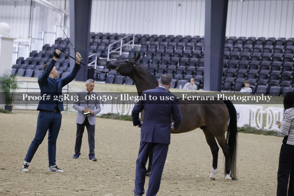 Proof Number 25R13_08050