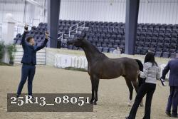 25R13_08051 thumbnail