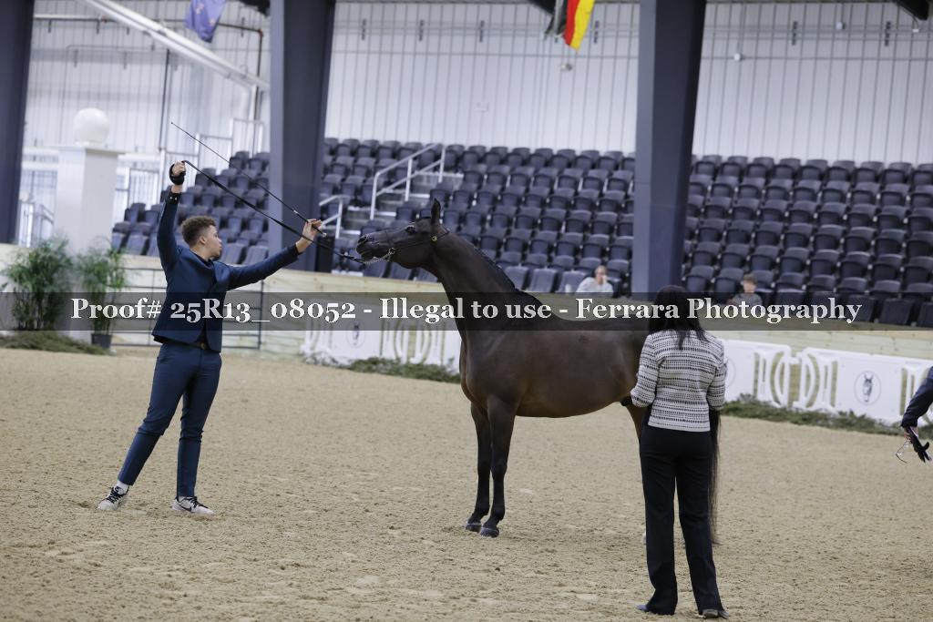 Proof Number 25R13_08052