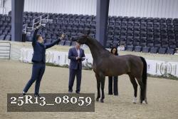 25R13_08059 thumbnail