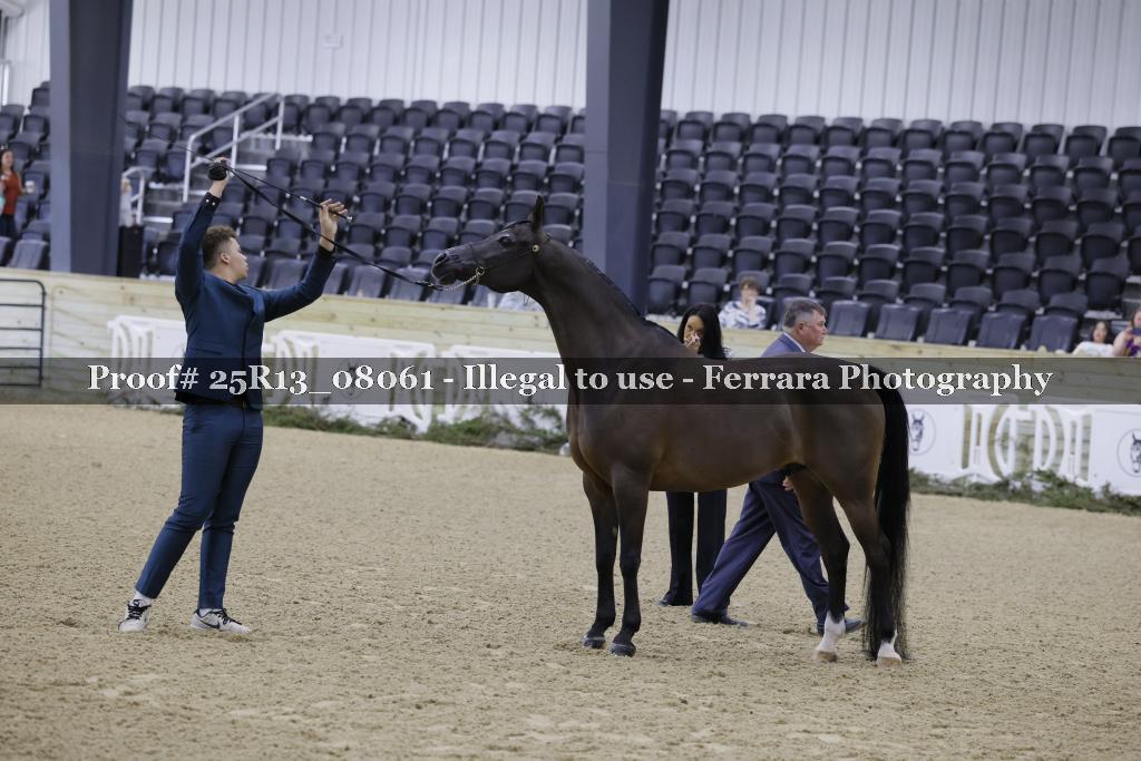 Proof Number 25R13_08061