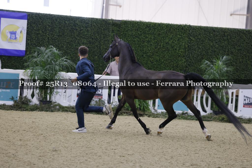 Proof Number 25R13_08064