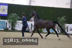 25R13_08064 thumbnail